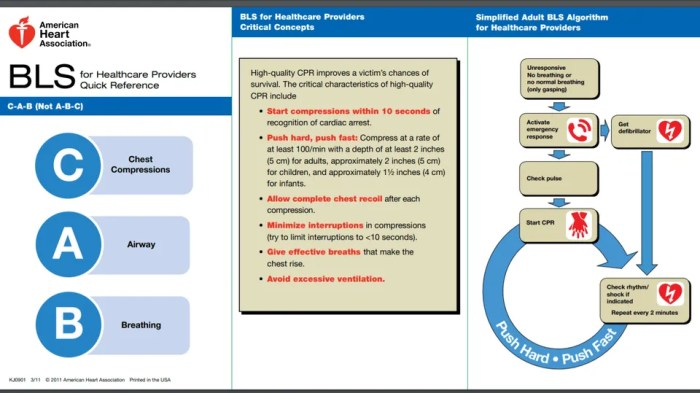 Acls test answers version a