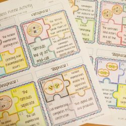 Meiosis crossword puzzle answer key