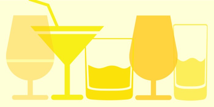 The art of cocktail preparation and drink combinations